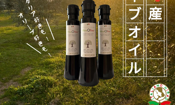 オリーブチラシ